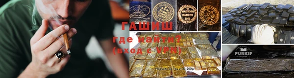 прущие крисы Горняк