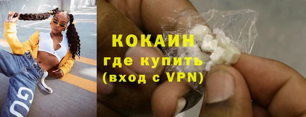 прущие крисы Горняк